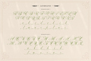 Mollani Nature Script, a Script Font by alit design (Thumbnail 7 of 20)