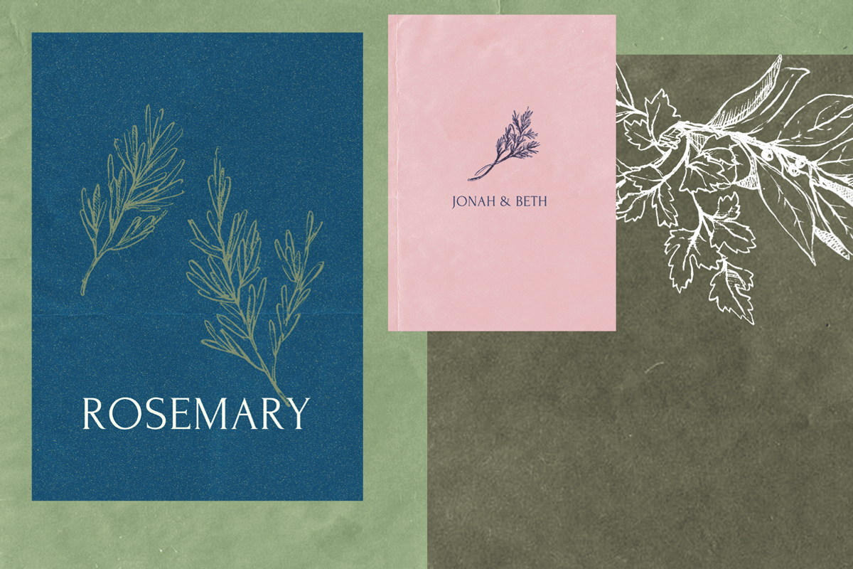 Pencil Drawing Culinary Herbs, an Illustration by elpple (Photo 6 of 6)