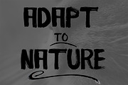 December Brush, a Font by JosephaStone (Thumbnail 3 of 6)
