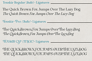 Tenskir - Serif Font, a Serif Font by NDNL Studio (Thumbnail 8 of 9)
