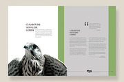 Magazine Template 10, a Magazine Template by pmvch (Thumbnail 6 of 12)