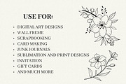 Floral Line Art, an Illustration by Helospace (Thumbnail 8 of 10)