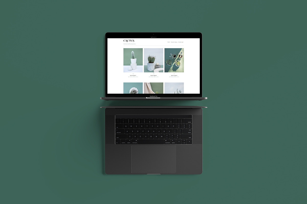 Cactus - WordPress Blog Theme, a WordPress Template by Cam' Studio (Photo 2 of 2)