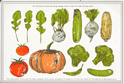 Vegetable collection 1, an Object Graphic by Siosay (Thumbnail 8 of 11)