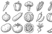 Vegetable Sketch Collection, an Object Graphic by nikagraphic (Thumbnail 1 of 3)