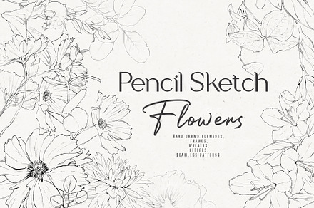Pencil-drawn flowers