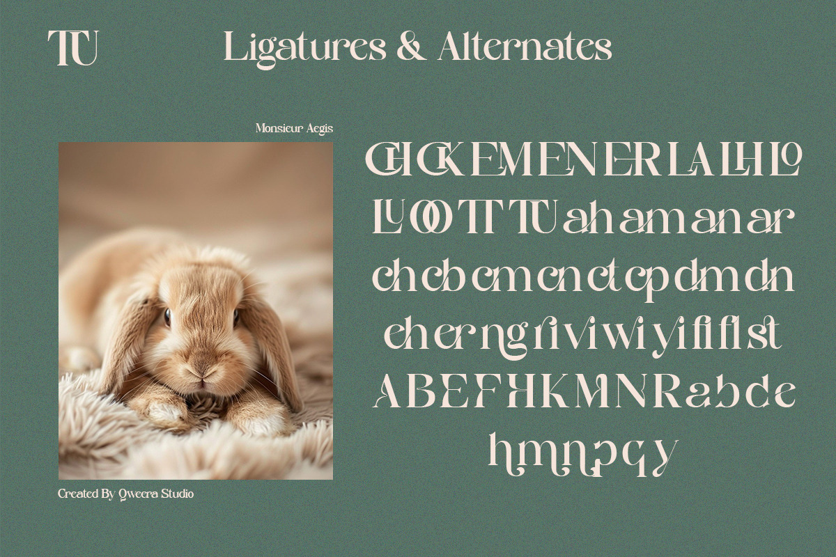 Monsieur Aegis - Modern Luxury Serif, a Serif Font by Qweera Studio (Photo 11 of 12)