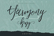 SALE Handwritten Script Fonts, a Script Font by Cruzine (Thumbnail 21 of 57)
