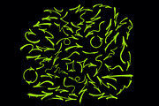 50 Graffiti Arrows With Drips, an Object Graphic by HipFonts (Thumbnail 3 of 3)