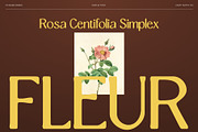 CS Rugbi Drawn, a Serif Font by Craft Supply Co. (Thumbnail 2 of 8)