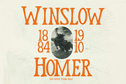 Nordic Display Serif font, a Serif Font by NuType (Thumbnail 2 of 9)