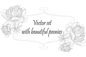 Graphic peonies