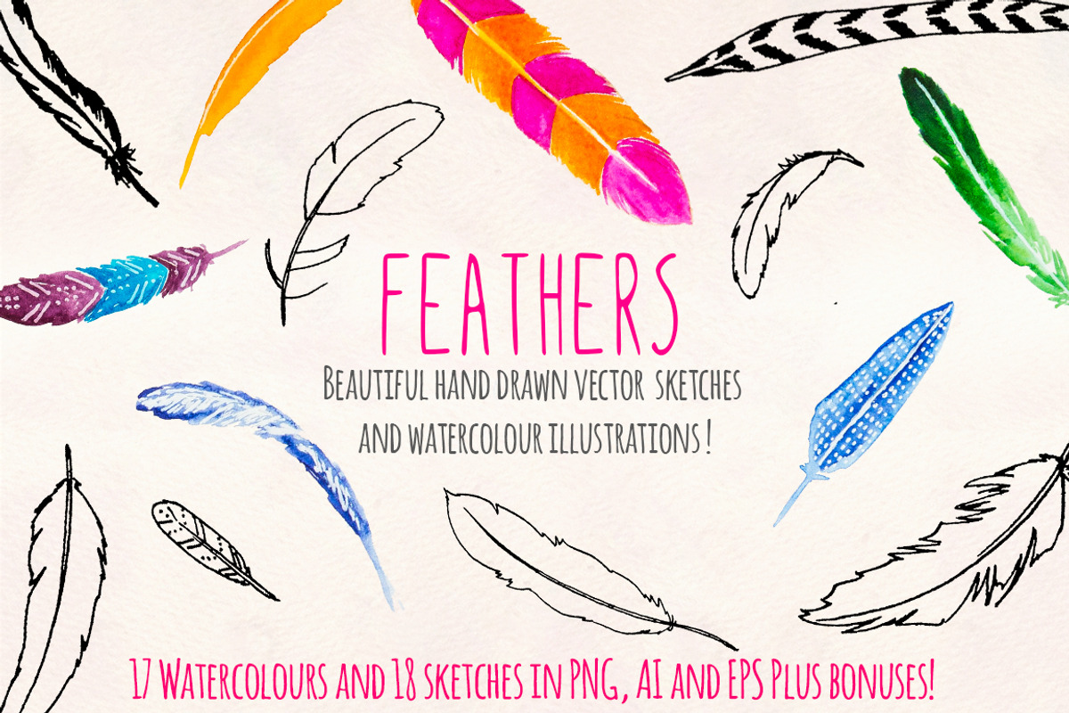 Feathers Watercolor and Ink Bundle, an Animal Illustration by Violet LeBeaux (Photo 2 of 4)