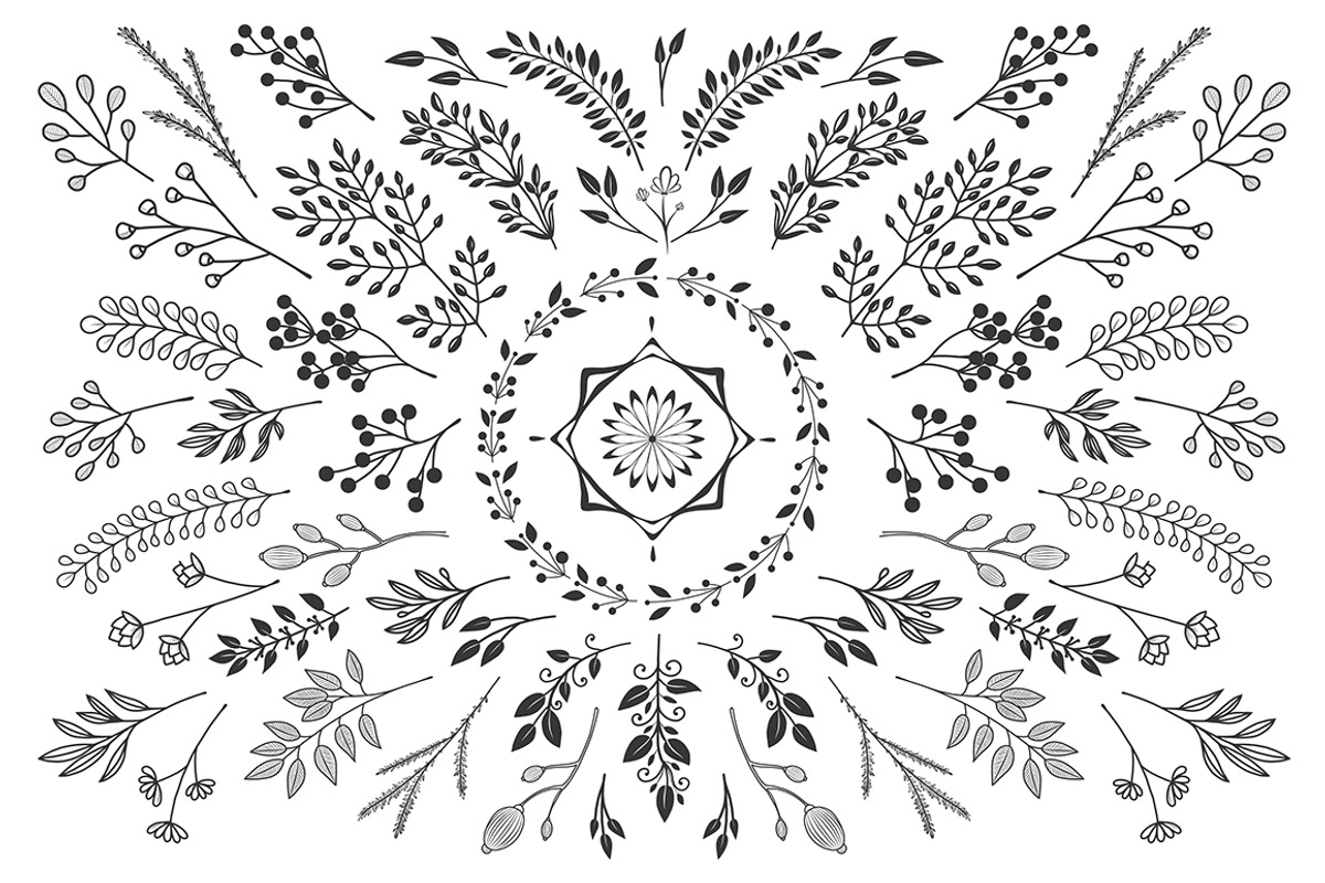 Bloom Сollection, a Decorative Illustration by Luba Vega (Photo 2 of 6)