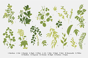 Leafy, a Decorative Illustration by olga.korneeva (Thumbnail 4 of 16)