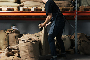 Back view of a young warehouse worke, a Person Photo by Artem Varnitsin