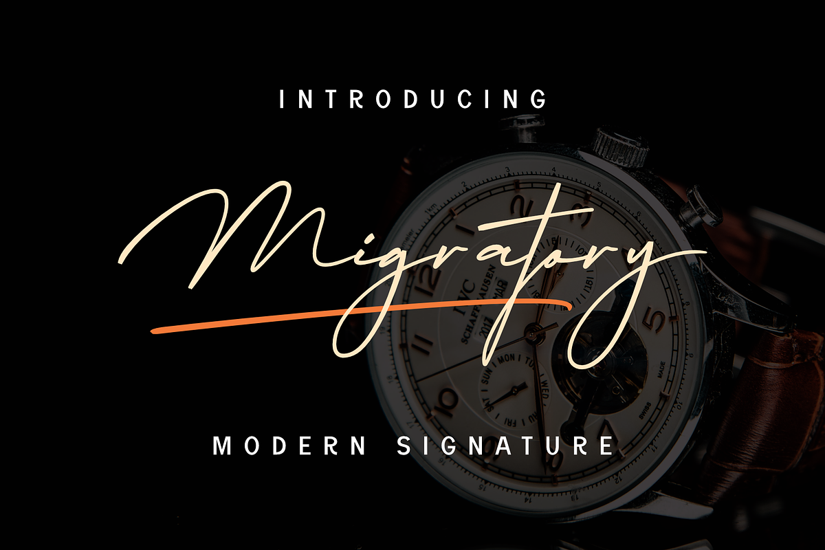 Migratory, a Font by Dumadistyle (Photo 1 of 11)