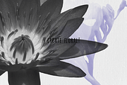 Photoshop Floral Stamp Brushes, a Brush Add-On by Art Sproot (Thumbnail 5 of 9)