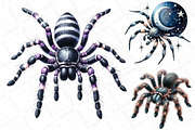 Halloween Clipart, Spider Clipart, an Illustration by DreamPrint404 (Thumbnail 4 of 4)