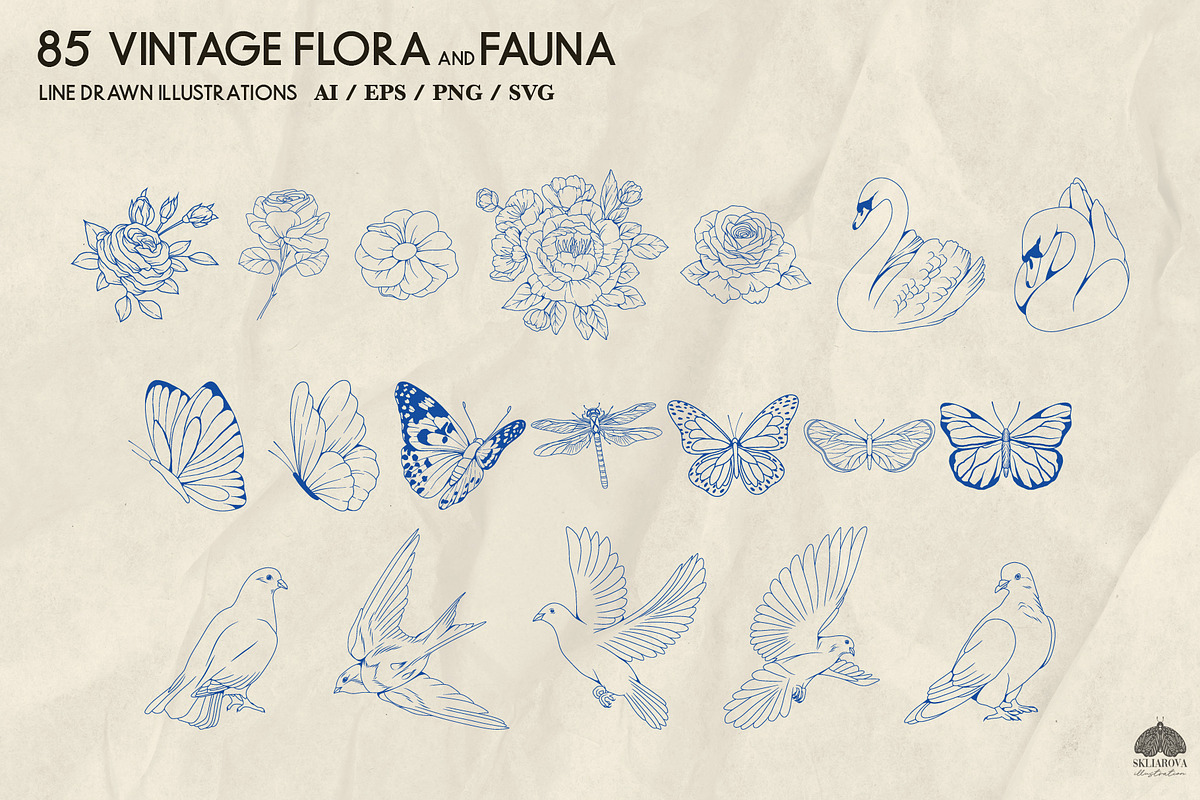 Vintage Flora and Fauna + Procreate, a Decorative Illustration by Skliarova (Photo 2 of 5)