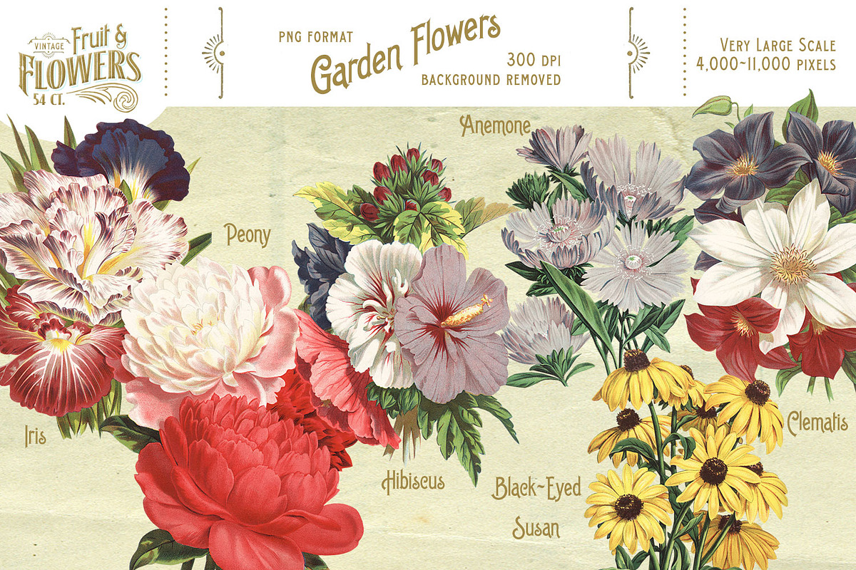 MASSIVE Vintage Fruit and Flowers, an Object Graphic by Eclectic Anthology (Photo 8 of 12)