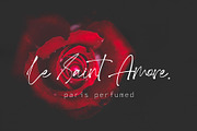 Black Phantom, a Script Font by AMINMARIO (Thumbnail 2 of 7)