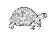 Turtle Line Art Illustration Bundle, an Illustration by Creativeshirt (Thumbnail 11 of 48)