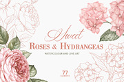 Sweet Roses and Hydrangeas, a Texture Illustration by Kotkoa (Thumbnail 1 of 14)
