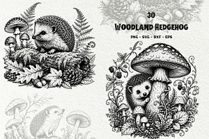 Forest Hedgehog Illustrations, an Animal Illustration by DENIDigitalArtSudio