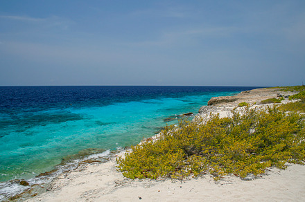 Blue clear ocean in Bonaire, a Nature Photo by Patricia Hofmeester