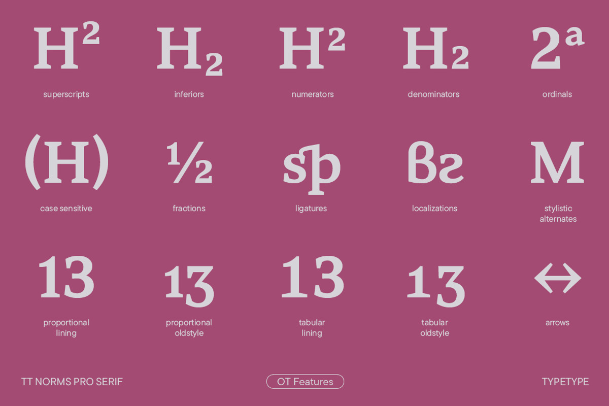 TT Norms Pro Serif, a Serif Font by TypeType (Photo 11 of 15)