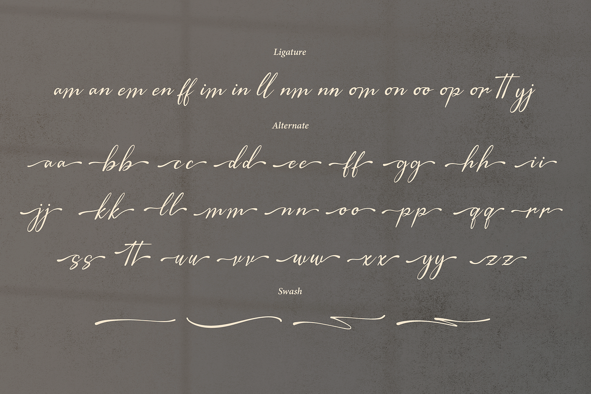 The Morteffis | Modern Calligraphphy, a Script Font by Denustudios (Photo 14 of 15)
