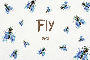 Fly. Watercolor. PNG