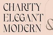 Andriani, a Serif Font by HATFSTUDIO (Thumbnail 3 of 9)