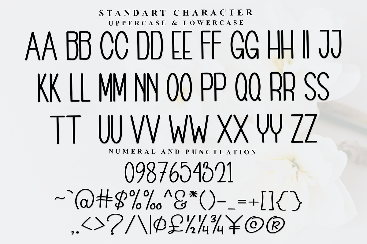 Photography, a Sans Serif Font by FreshTypeINK (Photo 5 of 8)