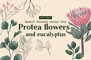 GRAND BUNDLE FLOWERS vector sets 70%, an Object Graphic by irina.vaneeva (Thumbnail 7 of 7)