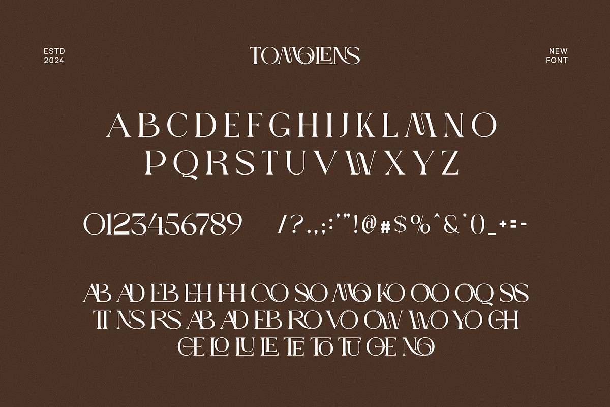 Tomolens Elegant Ligature Serif Font, a Serif Font by Perfectype (Photo 5 of 6)