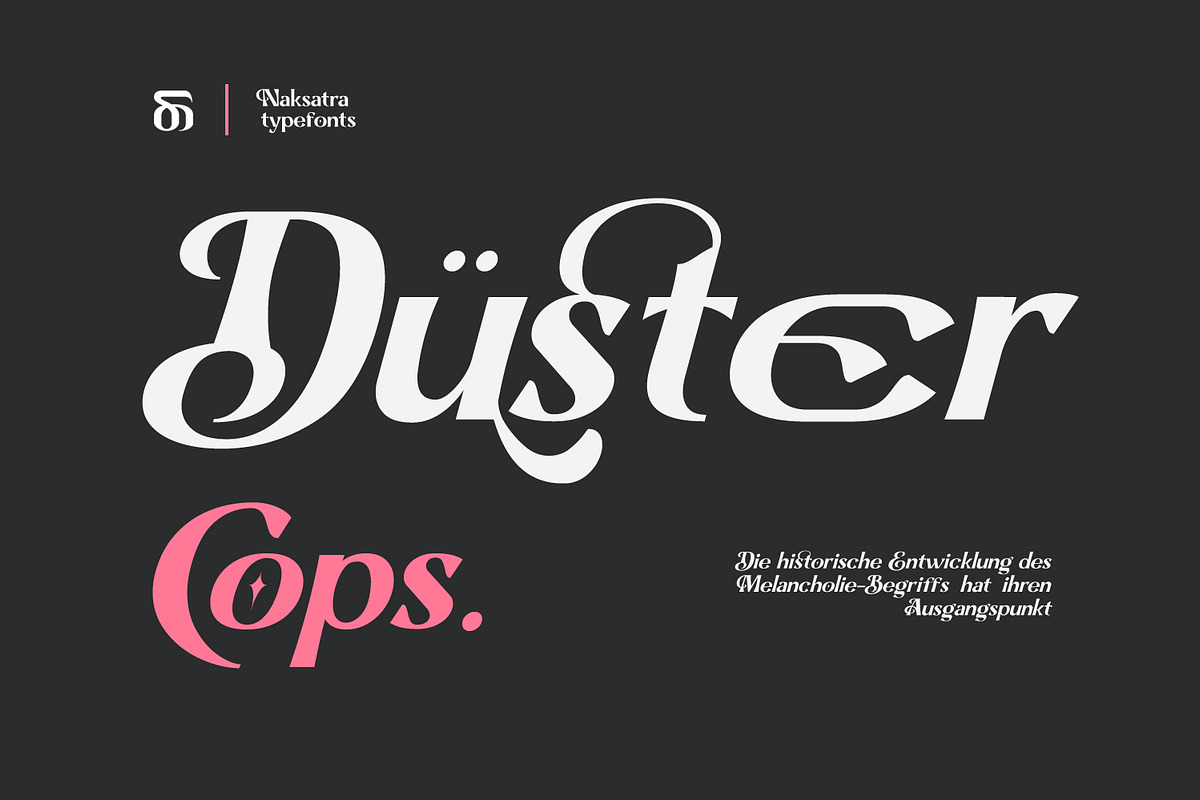 Boxes, a Serif Font by Naksatra (Photo 3 of 14)