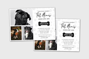 PET Mini Session Template