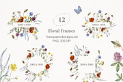 Meadow Botany. Watercolor Floral Set, a Healthcare Illustration by JulShuman (Thumbnail 3 of 11)