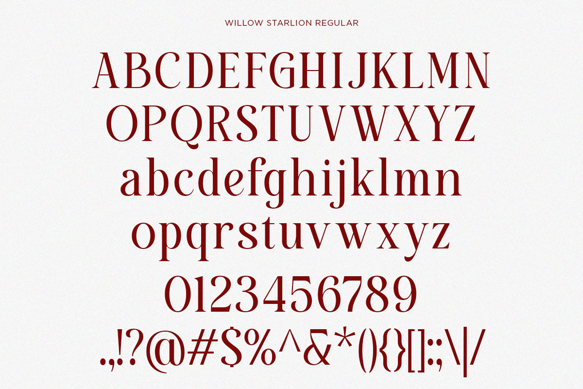 Willow Starlion - Elegant Serif Font, a Serif Font by Say Studio (Photo 9 of 10)