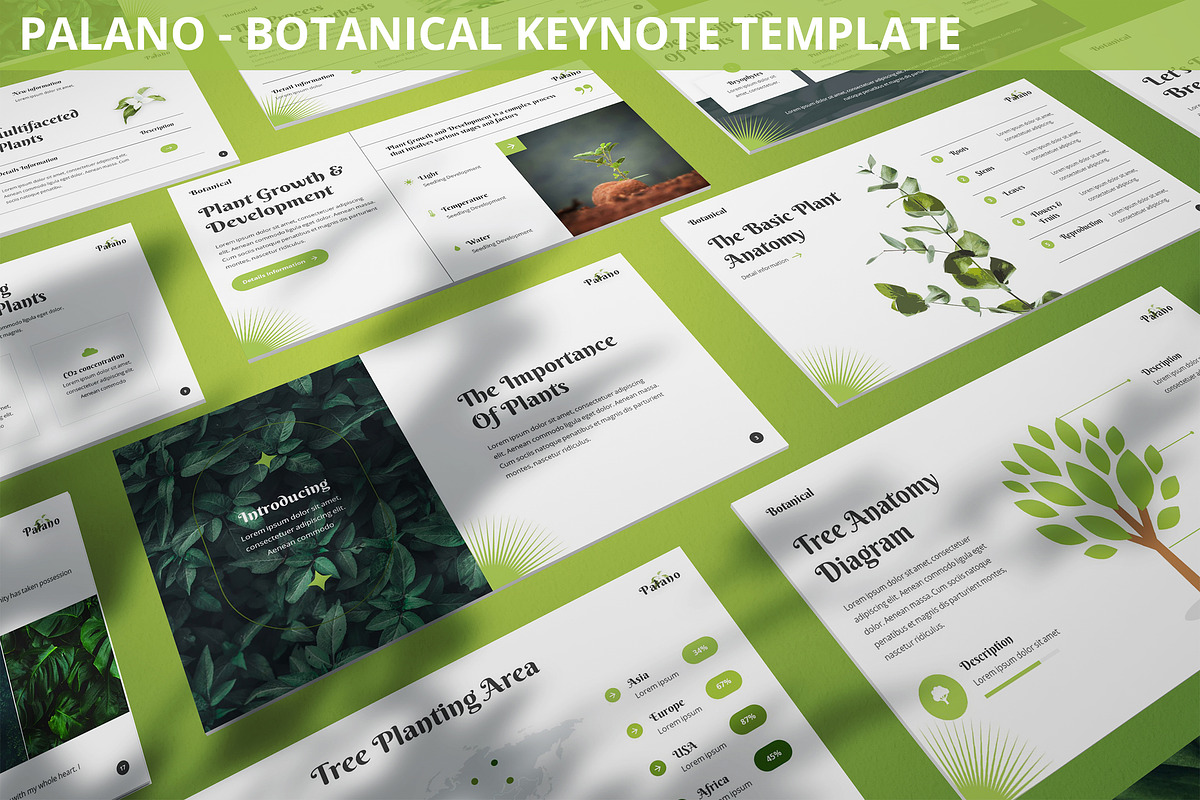Palano - Botanical Keynote Template, a Presentation Template by SlideFactory (Photo 1 of 4)
