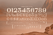 Fastue - Modern Luxury Logo Font, a Serif Font by Sensatype (Thumbnail 11 of 12)