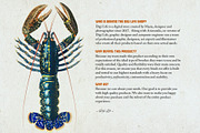 Hand Colored Engraving Procreate Kit, a Brush Add-On by Digi Life (Thumbnail 9 of 10)