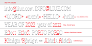 Invertida, a Slab Serif Font by Vanarchiv (Thumbnail 6 of 8)