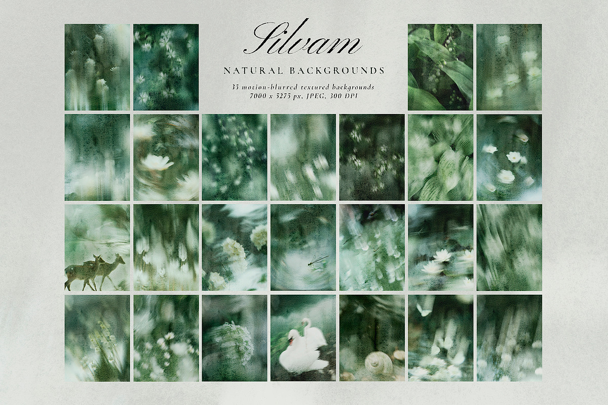 Silvam - Natural Backgrounds, a Background Graphic by Watercolor_Ma (Photo 7 of 9)