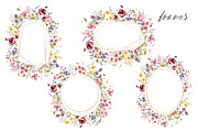 Wild flowers, poppies watercolor set, a Texture Illustration by Larisa Maslova (Thumbnail 8 of 12)