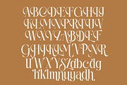 Rich Dashy Modern Elegant Serif, a Script Font by timelesstype.co (Thumbnail 4 of 20)