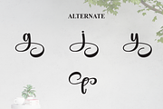 Augusta | Script Font, a Handwritten Font by Scratchones (Thumbnail 8 of 9)