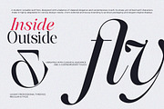 Softlen Minusone Stiller | 6 Update, a Serif Font by Natural Ink Studio (Thumbnail 2 of 15)